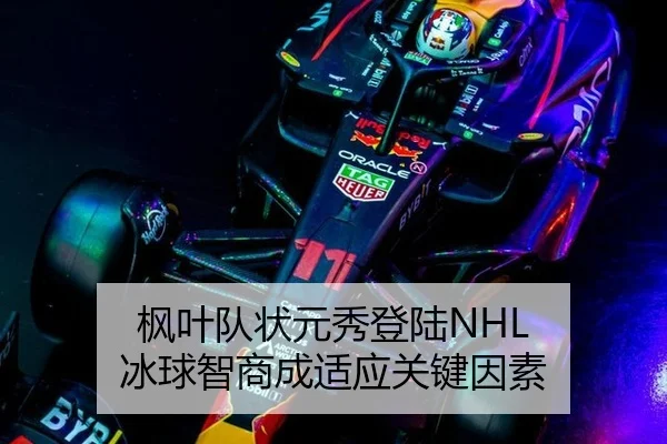 枫叶队状元秀登陆NHL 冰球智商成适应关键因素