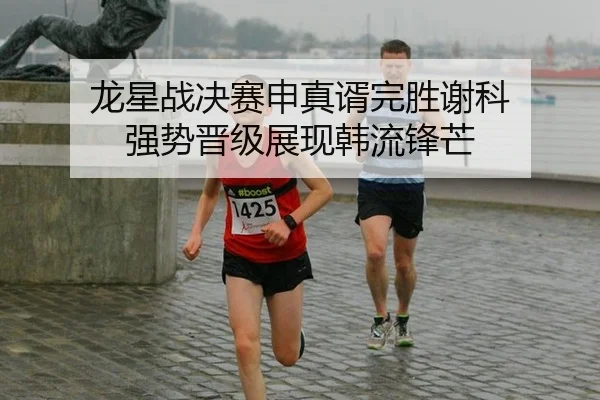 龙星战决赛申真谞完胜谢科 强势晋级展现韩流锋芒