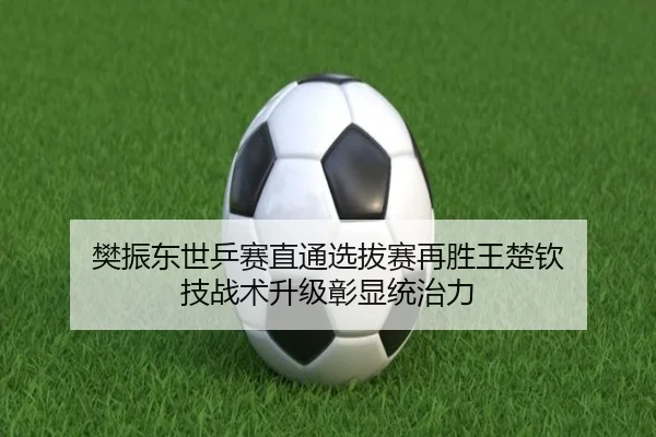 樊振东世乒赛直通选拔赛再胜王楚钦 技战术升级彰显统治力