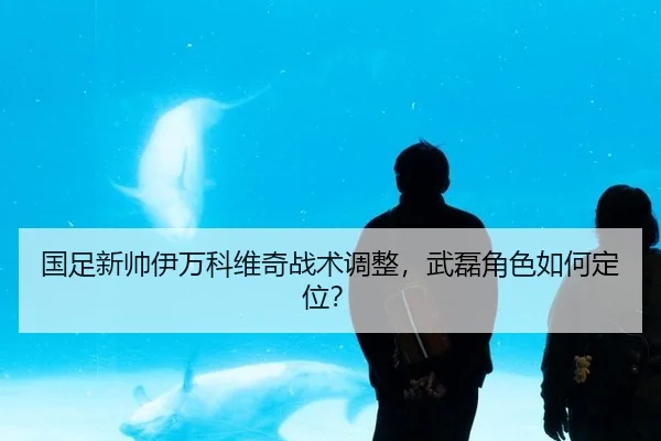 guo-zu-xin-shuai-yi-wan-ke-wei-qi-zhan-shu-tiao-zheng-wu-lei-jue-se-ru-he-ding-wei-2-104.jpg