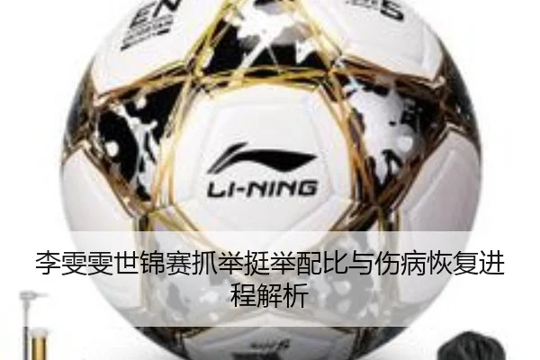 li-wen-wen-shi-jin-sai-zhua-ju-ting-ju-pei-bi-yu-shang-bing-hui-fu-jin-cheng-jie-xi-3-411.jpg