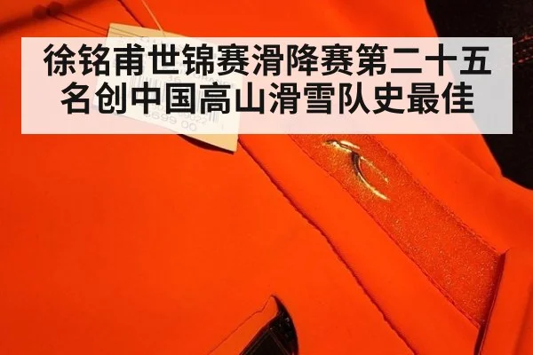 徐铭甫世锦赛滑降赛第二十五名创中国高山滑雪队史最佳